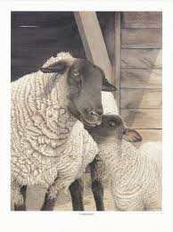 Mama Sheep Joan Arnold Sheep Art Animal Paintings Sheep And Lamb