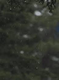 Here are the rain desktop backgrounds for page 2. 230 Gif Rain Ideas Gif Rain Rain Gif