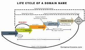 Did You Know Domain Names Have A Life Cycle No One Can Own A Domain Name The Are Only Rented Infographic Marketing Life Cycles Online Marketing