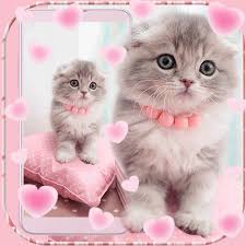 Imut Kitty Kucing Tema Cute Kitty Cat Aplikasi Di Google Play