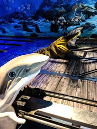 15 Great Things To Do In Destin With Kids Consistently Curious Destin Uncle Buck Bowling