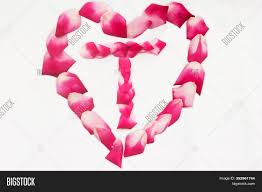 Love Shape Rose Petal Image Photo Free Trial Bigstock See more ideas about letter t, lettering alphabet, letters and numbers. love shape rose petal image photo