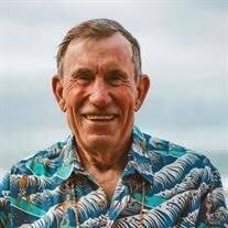 Charles Richard Levin Obituary (2025)