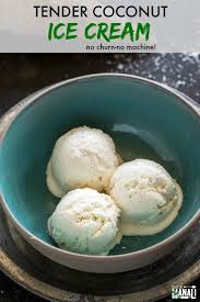 Homemade Tender Coconut Ice Cream Which Tastes Exactly Like The Ice Cream From Natural Mak Healthy Ice Cream Recipes Coconut Recipes Coconut Ice Cream Recipes