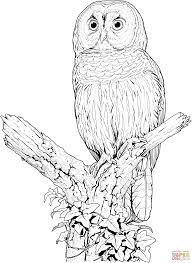 Whitepages is a residential phone book you can use to look up individuals. Owls Coloring Pages Free Coloring Pages Coloring Home