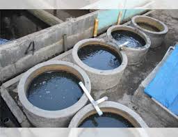 We did not find results for: Panduan Cara Membuat Kolam Lele Dari Buis Beton Atau Gorong Gorong
