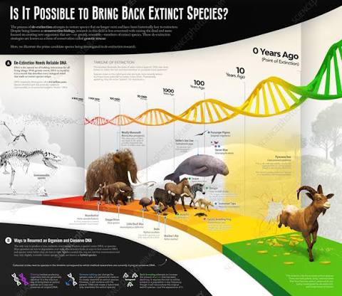 De-extinction, illustration - Stock Image - F037/4710 - Science Photo  Library