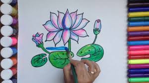 How To Draw And Colour Lotus Flower Step By Step Easy Tutorial Youtube Learn how to draw kylo ren: how to draw and colour lotus flower step by step easy tutorial