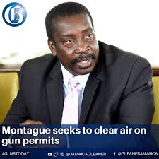 CoP ordered to grant provisional firearms licence to national sport shooter  ACTING Police Commissioner Stephen Williams has been ordered to immediately  grant national sport shooter Robert Auerbach a provisional Firearms Users'  Licence (