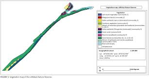 Image result for Gymnosporia arenicola