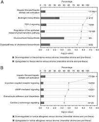 Transcriptome Analyses Of Ovarian Stroma Tunica Albuginea