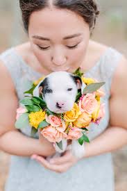 AMANDA + STEVE — Jessica Hennessey Weddings