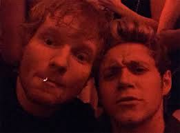 Niall Horan, Ed Sheeran Friends After Ellie Goulding Cheating Rumors