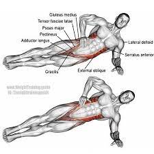 نام حرکت پلانک از بغل Name Side Plank ماهیچه هدف بغل شکم آموزش بدنسازی تمرینات بدنسازی آموزش تم Side Hip Raises Bodybuilding Workouts Workout Guide