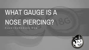 Can You Pierce A Nose With A 16G? And If Yes, Is That Too Big In Your  Opinion? - Quora