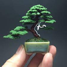 Museo del bonsai más grande en colombia. Bonsai Trees Plants Bonsai Fruit Trees In Bogota Online Payment