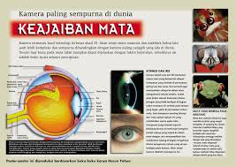 We did not find results for: Pin On Indonesian Posters