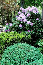 Pin By Photos From Juniper Hill On Gardens At Juniper Hill Garden Shrubs Beautiful Gardens Outdoor Landscaping