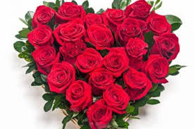 Hechizo De Las 5 Rosas Para Atraer El Amor Verdadero Atraer El Amor Amor Verdadero Rosas