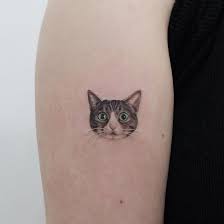 Kis Mevsimine Iyi Giden 20 Kedi Dovmesi Youyeon Sanatli Bi Blog Kedi Kedi Dovmeleri Renkli Dovmeler