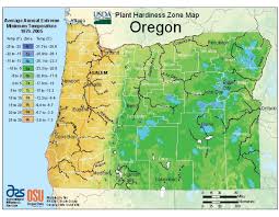 Oregon Vegetable Planting Calendar Urban Farmer Seeds