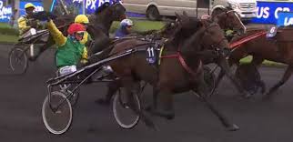 Grand Prix De Bretagne 2019 Et La Victoire De Davidson Du Pont Drive Par Franck Ouvrie Courses Hippiques Hippique Grand Prix