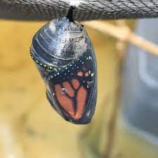 Pin En Nature And Places