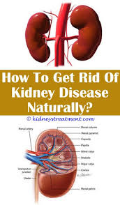Kidney Stones Syrup Polycystic Kidney Disease Chronic Kidney Disease Kidney Disease Diet