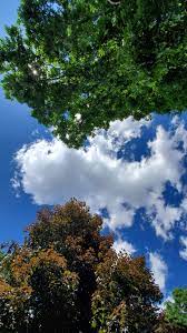 Sky From My Backyard Sky Skies Nature Photography Fotografi Alam Estetika Langit Pemandangan Abstrak