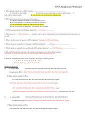 Learn vocabulary, terms, and more with flashcards, games, and other study tools. Dna Replication Worksheet Fall 20 Hester Docx Name Dna Replication Worksheet Dna Replication Results In Two Dna Molecules A Each With Two New Strands Course Hero