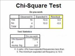 interpreting the spss output for a chi square analysis chi