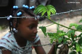 Acción Afro-Dominicana: 2016