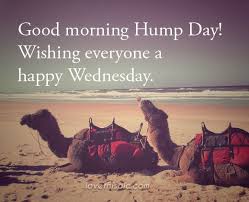 To get your day started the right way, we've gathered some of the funniest wednesday coffee memes from all over the internet. Good Morning Happy Hump Day Good Morning Wednesday Hump Day Humpday Wednesday Quotes Good Morning Quotes Happy W Good Morning Happy Wednesday Hump Day Hump Day