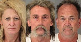 Guns And Drugs Found During Investigation By Lake Elsinore Deputies