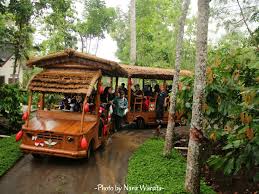 Wisata jember kebun teh gunung gambir. Wisata Puslit Kopi Kakao Jember