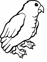 Now, these white tigers actually have a different name. Free Printable Parrot Coloring Pages For Kids Animal Coloring Pages Rainforest Animals Coloring Pages