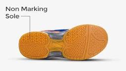 Badminton Shoes Buyer's Guide [ Explained with Pictures ]