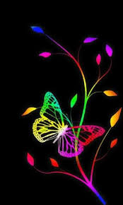 We did not find results for: Butterfly Wallpaper Rainbow