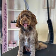 See more ideas about labradoodle grooming, grooming, labradoodle. Fairy Tails Professional Dog Grooming Home Facebook
