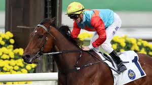 Emiliaca erome The album about Emilia la curvy is to be