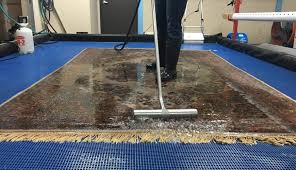 Apply this substance to the area; Area Rug Cleaning Tomball Tx Professional Rug Cleaning