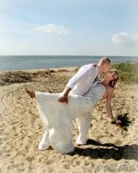 Portrait photographers photography & videography commercial photographers. Wedding Event Photographers In Sparta Nj