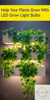 Avoid placing lights more than 40 inches (101.6 cm) from the plant. Help Your Plants Grow With Led Grow Light Bulbs Bless My Weeds Grow Lights For Plants Lights For Plants Grow Light Bulbs