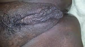 Dudaklı amcık dudakları