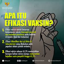 Sekretariat Kabinet En Twitter Beberapa Waktu Lalu Bpom Ri Mengatakan Vaksin Sinovac Mempunyai Efikasi 65 3 Nah Yang Dimaksud Dengan Efikasi Vaksin Itu Apa Ya Cari Tahu Yuk Grafikabinet Https T Co Zm2ywt5ezf