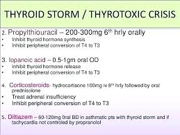 Armour Thyroid Conversion Chart Onourway Co