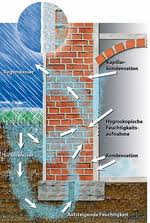 Die schnelle und kostengünstige lösung jetzt für den sparenden heimwerker exklusiv bei mauerpol® feuchtigkeit im haus können sie jetzt bequem und schnell auch selbst beseitigen. Feuchte Wande Sanieren Selbst De