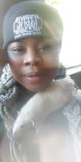 Rats destroying their owners' property and gifts