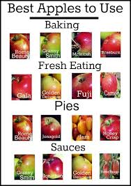 Guide To Apples And Their Uses Cooking And Baking Recipes Fruit Recipes