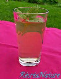 Sirop Maison Melisse Du Jardin Et Citron Sirop Maison Sirop Citron